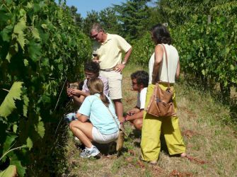 Une tour de vin près de Panzano in Chianti
