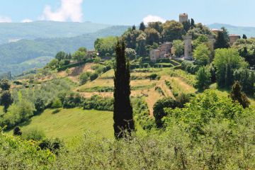 Panzano vu du nord