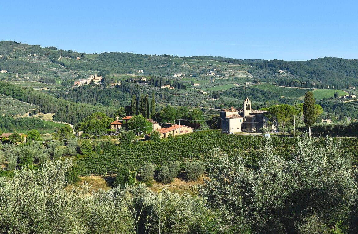 Vineyard accommodations and direct wine sales near Panzano in Chianti, Tuscany