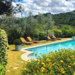 Villa Bordoni pool