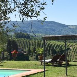 Vacation Apartment in Chianti with swimming pool