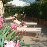 Apartment Alessandro vacation apartment in Chianti
