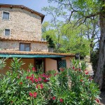 Vacation apartments at Agriturismo Patrzia Falciani at Greve in Chianti